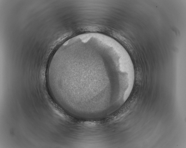 X0000112030394200909141101