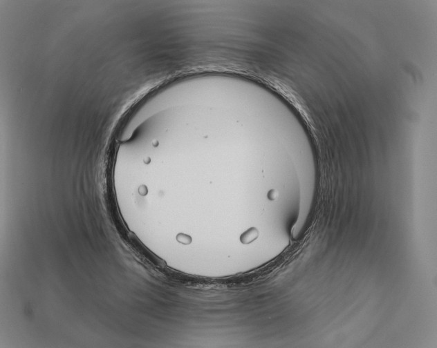 X0000112030395200909141101