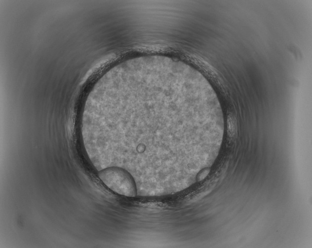 X0000112030396200909141101