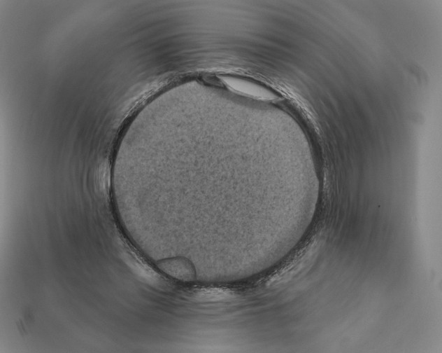 X0000112030397200909141101