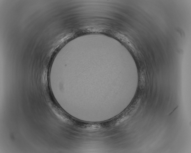 X0000112030398200909141101