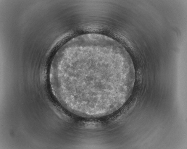 X0000112030400200909141101