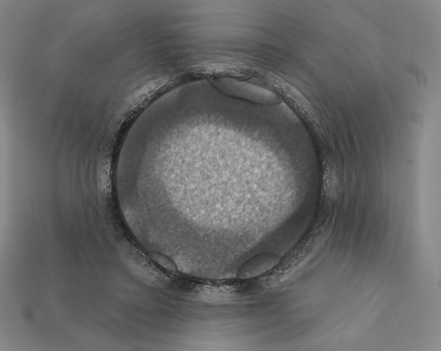 X0000112030403200909141101