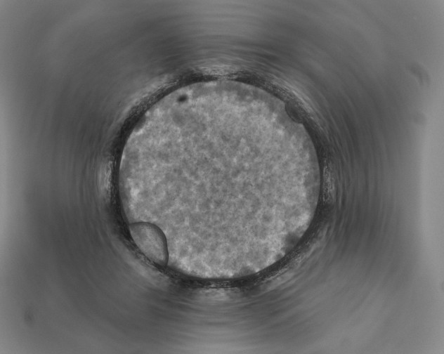 X0000112030404200909141101