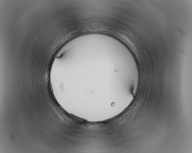 X0000112030405200909141101