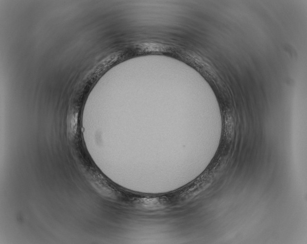 X0000112030406200909141101
