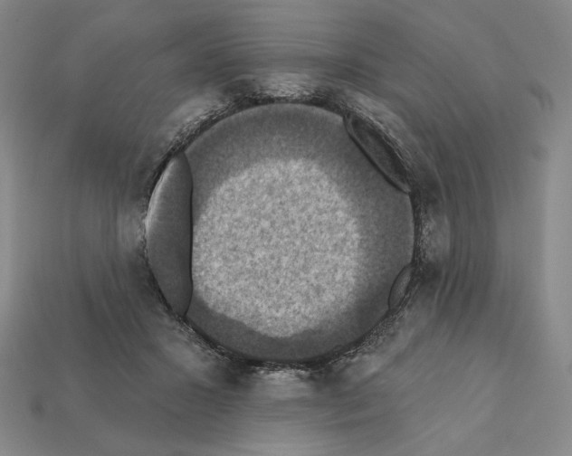 X0000112030407200909141101