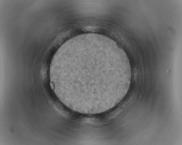 X0000112030408200909141101