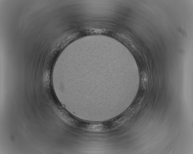 X0000112030410200909141101