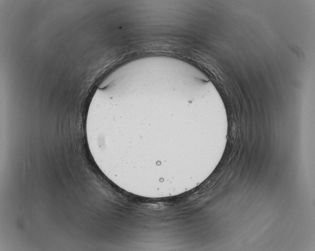 X0000112030411200909141101