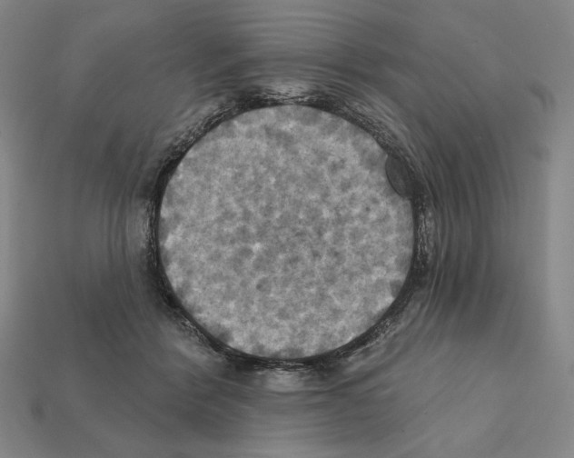 X0000112030412200909141101