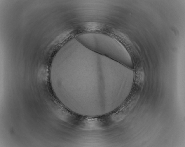 X0000112030413200909141101