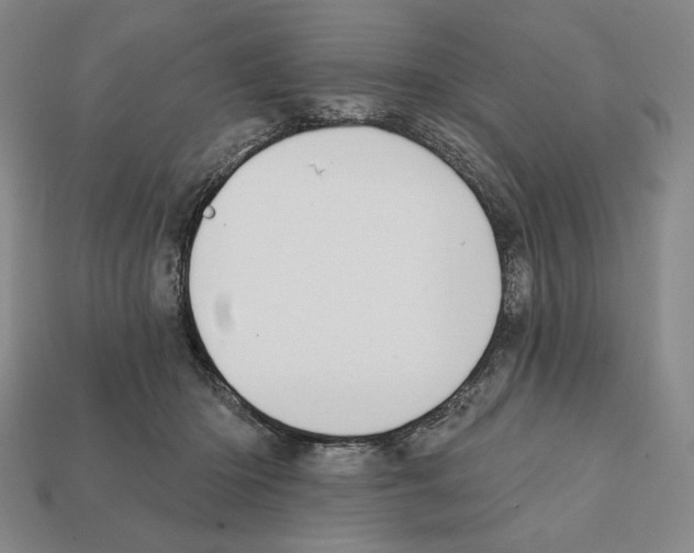 X0000112030414200909141101