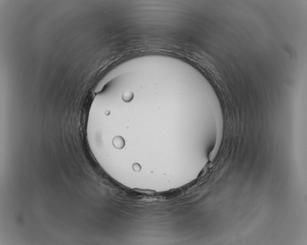 X0000112030415200909141101
