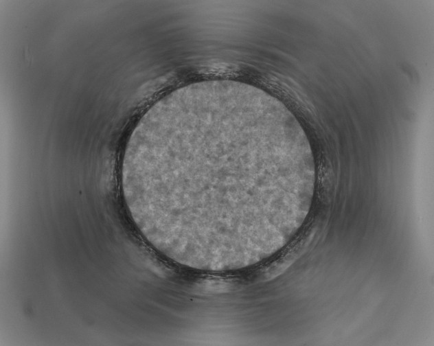 X0000112030416200909141101