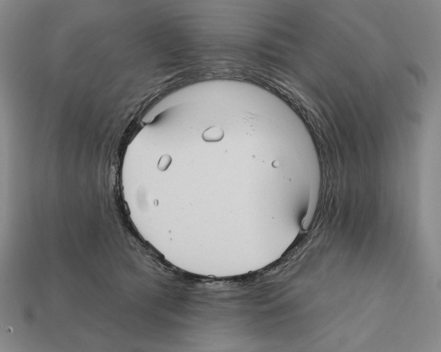 X0000112030417200909141101