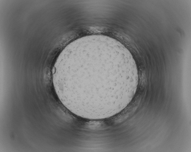 X0000112030418200909141101