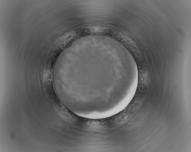 X0000112030419200909141101