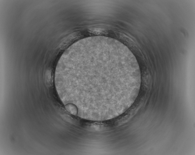 X0000112030420200909141101
