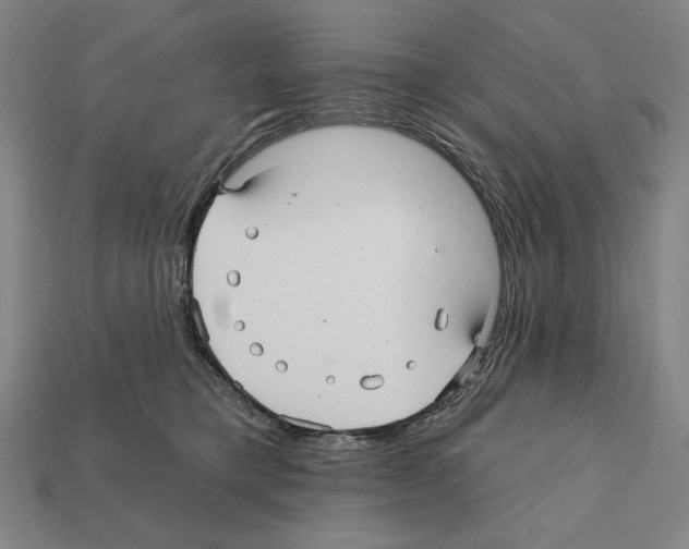 X0000112030421200909141101