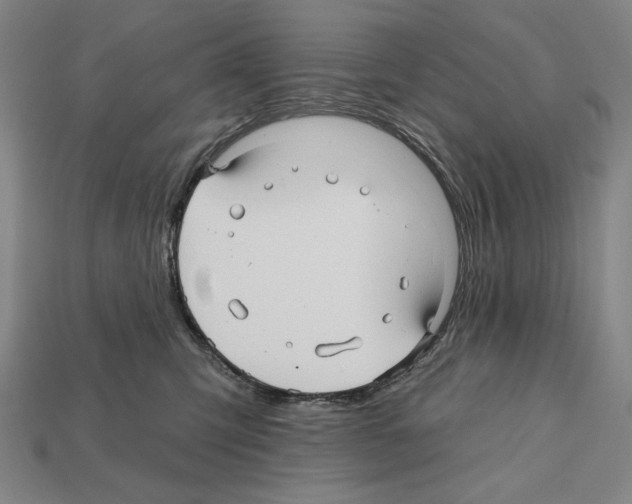 X0000112030423200909141101