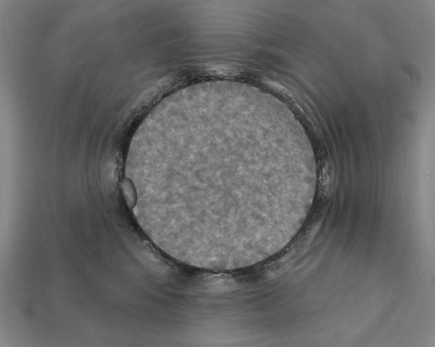 X0000112030424200909141101