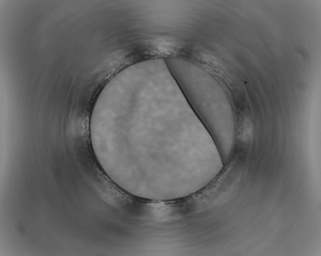 X0000112030425200909141101