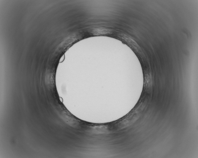 X0000112030426200909141101