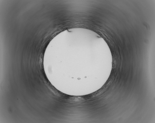 X0000112030427200909141101
