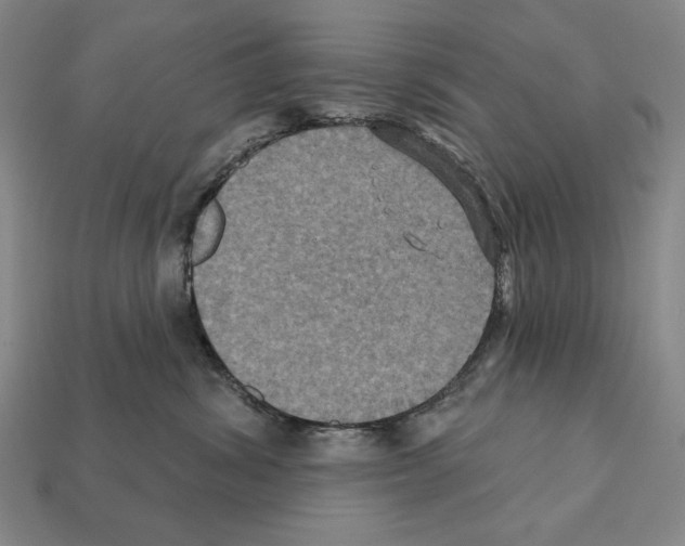 X0000112030428200909141100