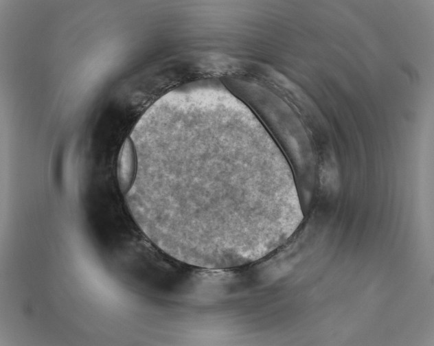X0000112030429200909141100