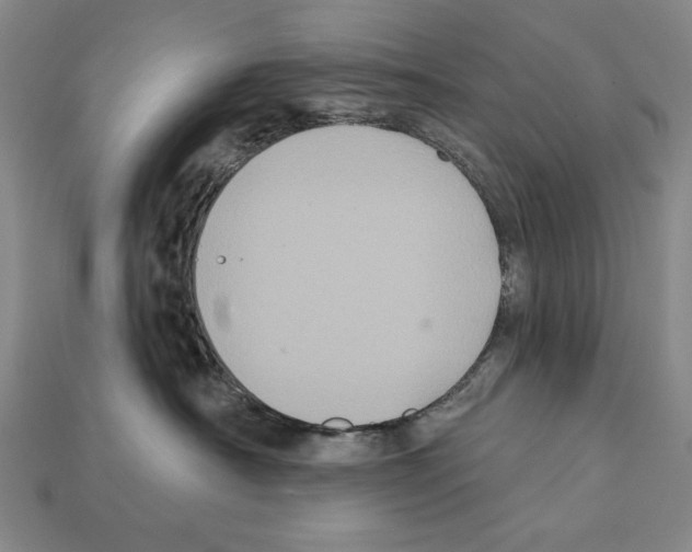 X0000112030430200909141100