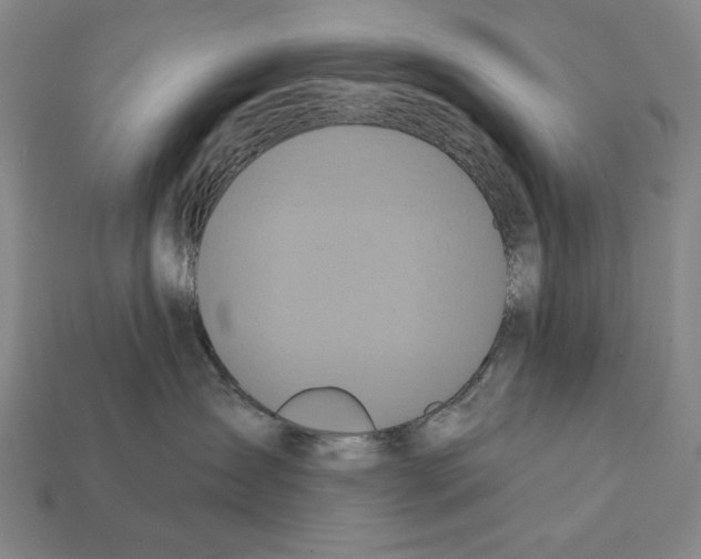X0000112030431200909141100