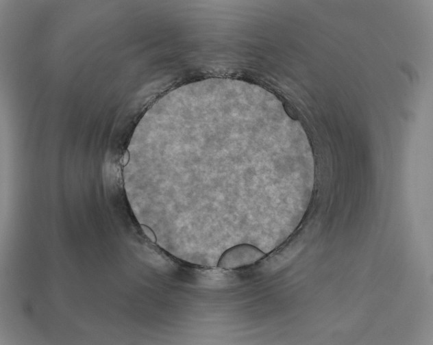 X0000112030432200909141100