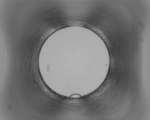 X0000112030433200909141100