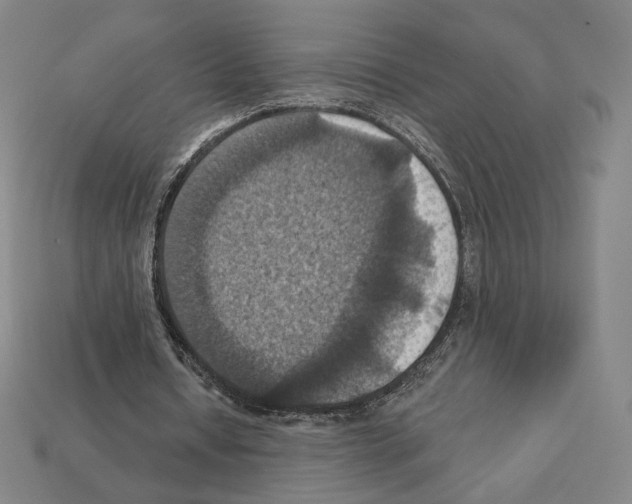 X0000112030434200909141100