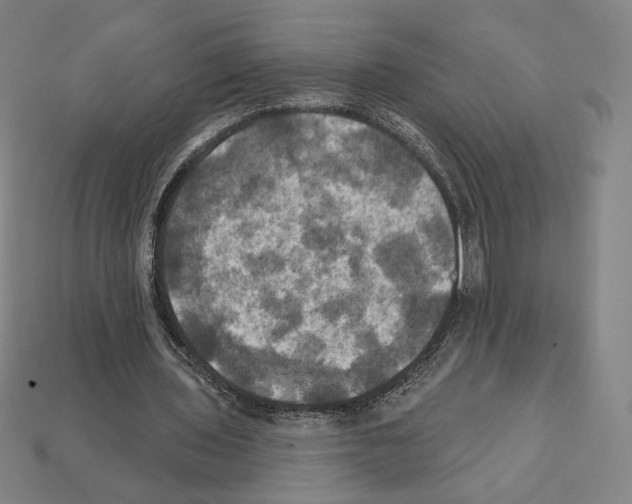 X0000112030435200909141100