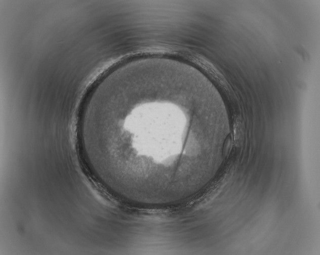 X0000112030436200909141100
