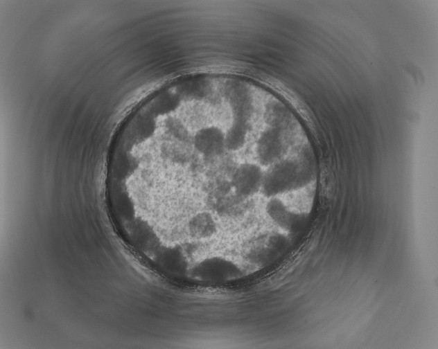 X0000112030437200909141100