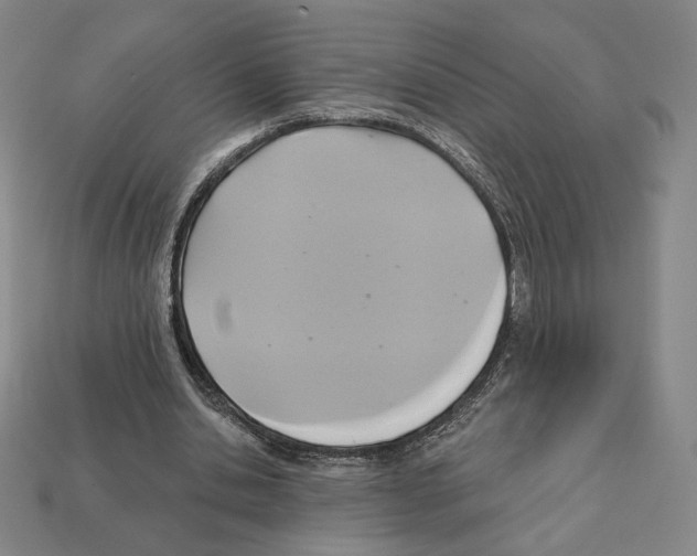 X0000112030438200909141100