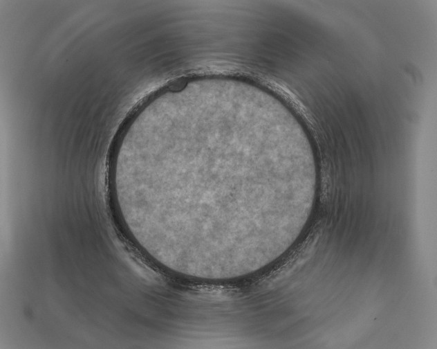 X0000112030439200909141100