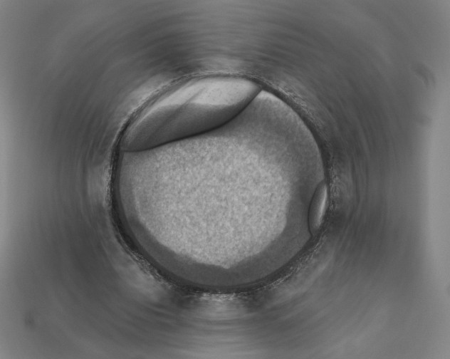 X0000112030440200909141100