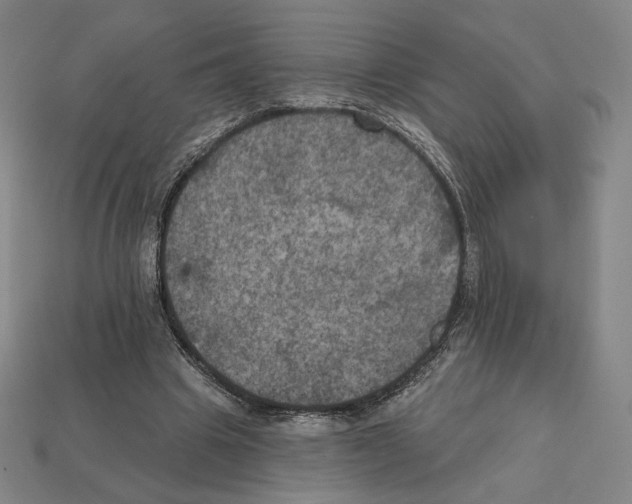 X0000112030441200909141100