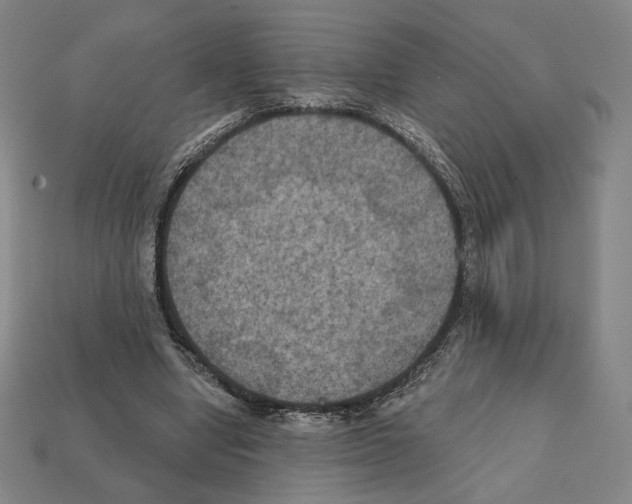 X0000112030442200909141100