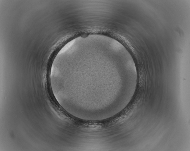 X0000112030443200909141100