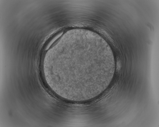 X0000112030444200909141100