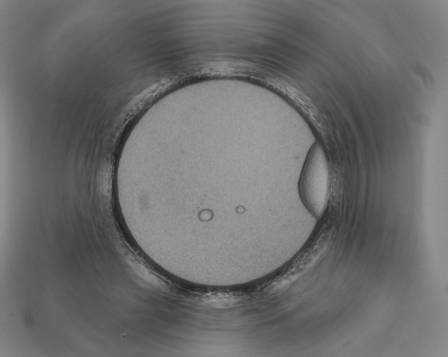 X0000112030445200909141100