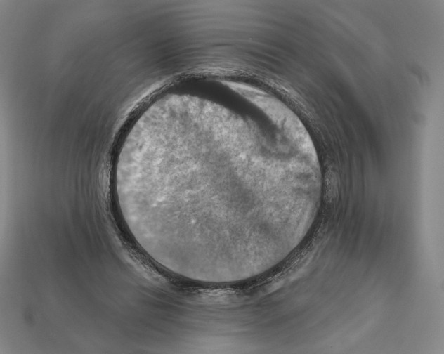 X0000112030446200909141100