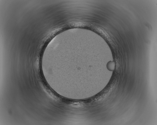 X0000112030447200909141100