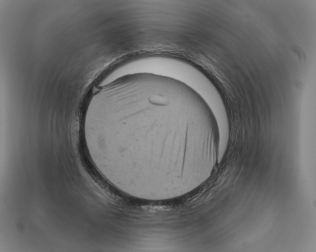 X0000112030448200909141100